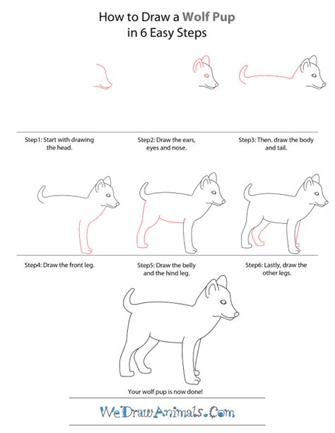 Easy Wolf Drawing Step By Step at PaintingValley.com | Explore collection of Easy Wolf Drawing ...