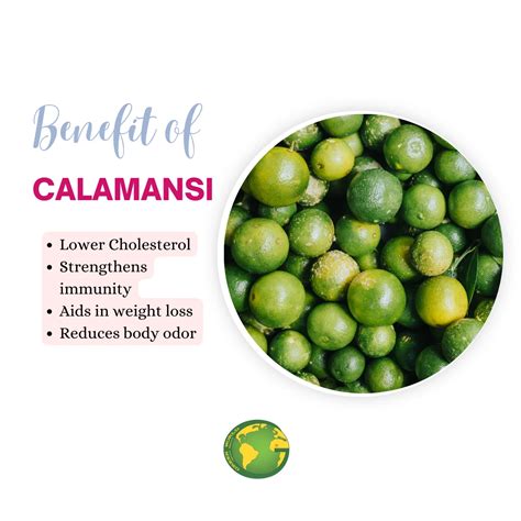 Frozen Calamansi Puree From Viet Nam Healthy Puree With The Highest