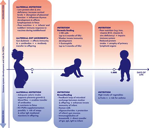 Frontiers Impact Of Early Life Nutrition On Childrens Immune System