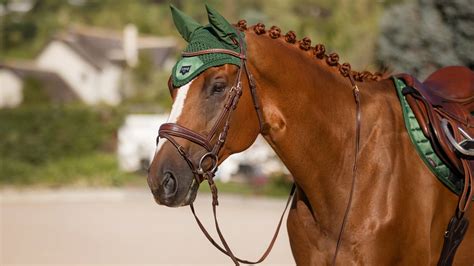 Bonnet Anti Mouches Lemieux Loire Hunter Green Sellerie L Atelier