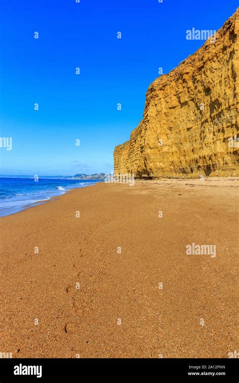 Hive Beach Near West Bay Coast Resort Jurassic Coast Crumbling Sandstone Cliffs Unesco Site