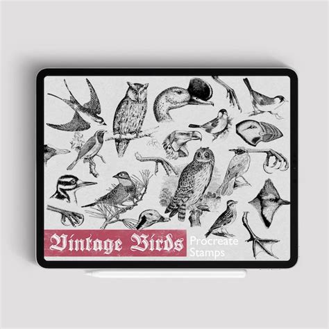 Vintage Bird Stamps - Etsy