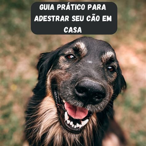 Guia Prático para Adestrar Seu Cão em Casa José Augusto Hotmart