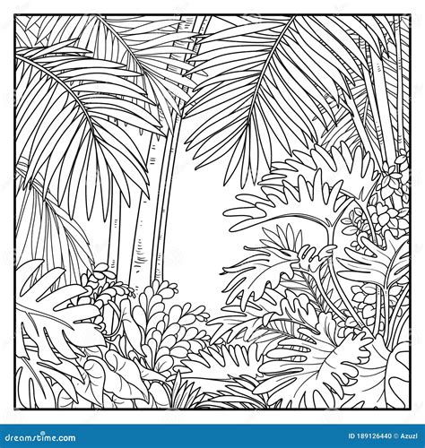 Jungle Background Coloring Pages