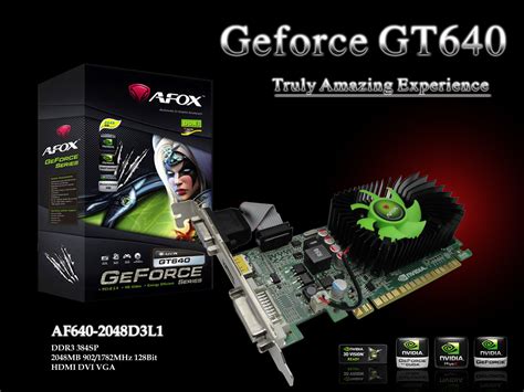 Afox Launches New Nvidia Geforce Gt Graphics Card Videocardz