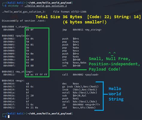 Linux X86 Assembly How To Make Our Hello World Usable As An Exploit