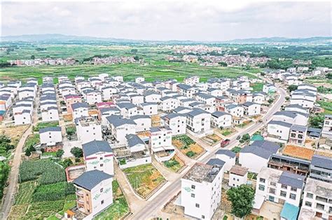 广西横州市：谱写“世界茉莉花都”发展新华章 国际在线