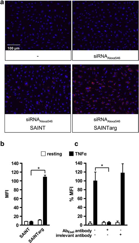 SAINTarg Increases Transfection Efficiency In Activated Primary