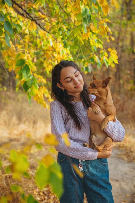Fall Puppy Photos, Download The BEST Free Fall Puppy Stock Photos & HD