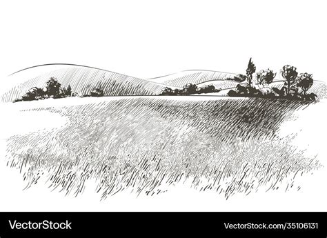 Sketch Green Grass Field On Small Hills Royalty Free Vector