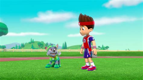 Rockygallerypups Save A Sports Day Paw Patrol Wiki Fandom Powered