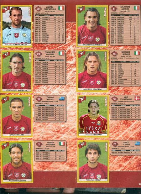 Album Figurine Calciatori 2007 08 Panini Scan