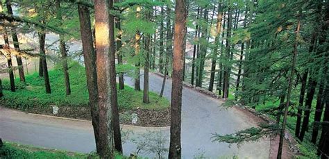 All You Need To Know Before Visiting Chail Himachal Pradesh