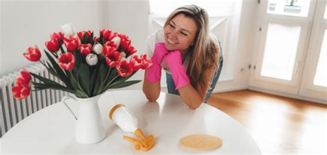 Spotless Love Nests Deep Cleaning Essentials For Valentine S Day