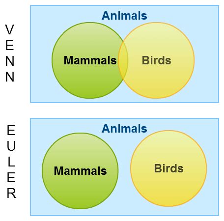 Euler Diagramm Definition Und Beispiele