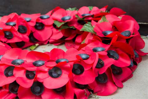 Torbay Community Unites On Armistice Day And Remembrance Sunday We