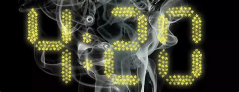 history    cannabis celebration paradise seeds