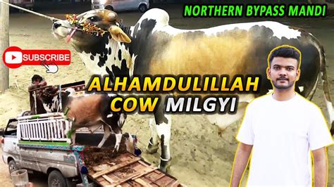 FINALLY COW MILGYI ALHUMDULILLAH SODA HOGYA Mandi 2023 Vlog