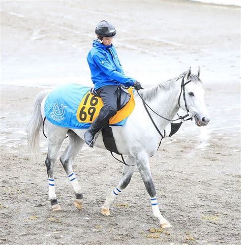 土曜メインレースの注目激走馬阪神11r仁川ステークス（l） ライブドアニュース