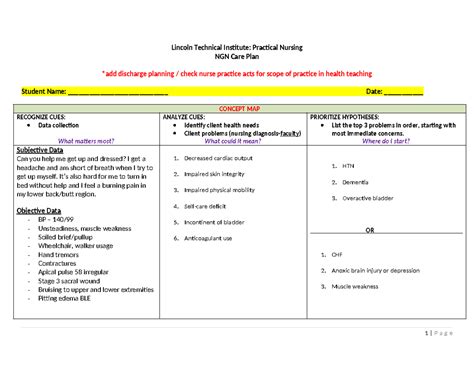 Example Ngn Care Plan Pn Template Lincoln Technical Institute