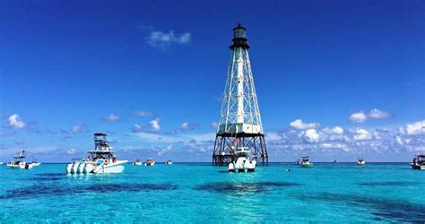 Save Alligator Lighthouse - Great Locations