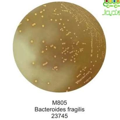 خرید و قیمت محیط کشت Bacteroides Bile Esculin Agar BBE Agar ترب