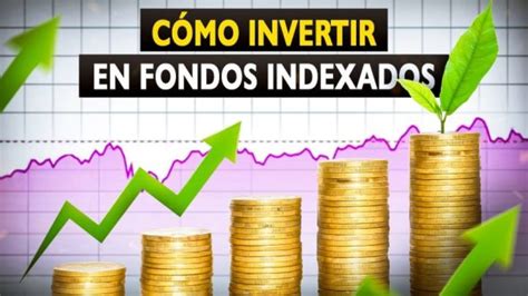 Fondos Indexados Qué Son Y Cómo Invertir En Ellos En 2024