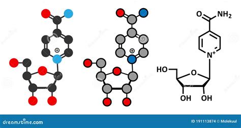 Nicotinamide Riboside Or Nr Molecule Precursor Of Nicotinamide Adenine