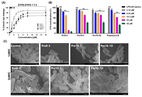 Ijms Free Full Text A Novel Peptide Antibiotic Pro10 1d Designed