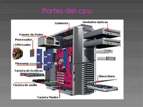 Partes Internas Del Cpu