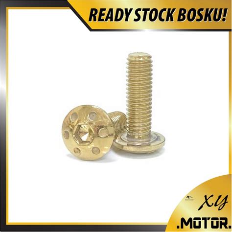 DISC BRAKE PLATE SCREW M8 UNIVERSAL FRONT REAR TITANIUM GOLD SKRU DISC