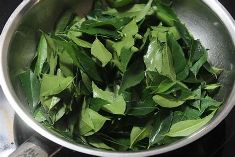 Curry Leaves Powder Karivepaku Podi Swasthi S Recipes