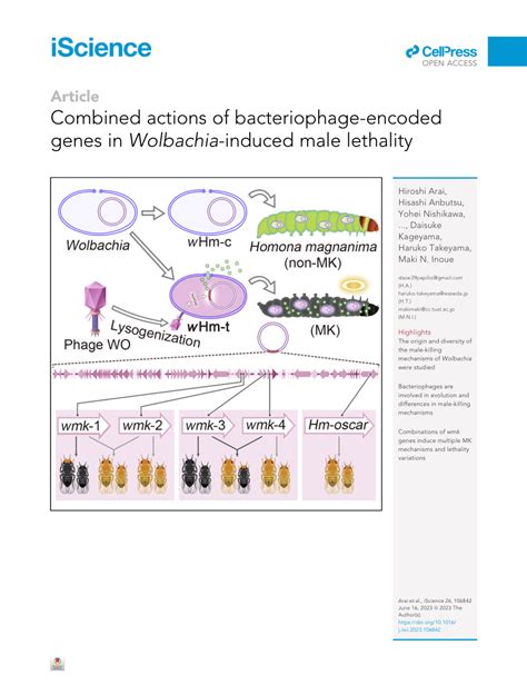 PDF Combined Actions Of Bacteriophage Encoded Genes In Wolbachia