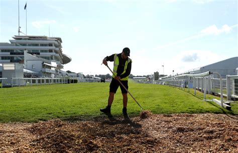 Racing Welfare Supporting Racing S Workforce