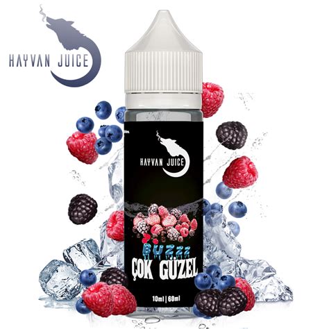 Cok Güzel 10ml Aroma by Hayvan Juice e Liquid Konzentrat für e