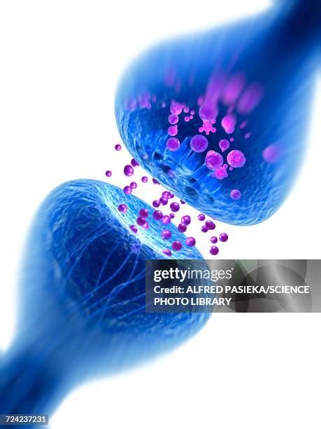 Synapse Blue Photos And Premium High Res Pictures Getty Images