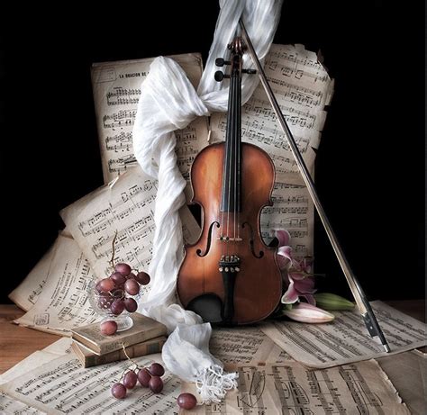 Violín Violin Art Music Artwork Violin Photography