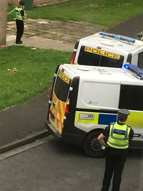 Primrose Hill stabbing: two women and one man arrested - YorkshireLive