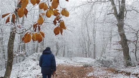 Aviso Amarillo Por Nieve En El Interior De Euskadi Desde La Noche Del