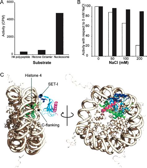 Specificity And Mechanism Of The Histone Methyltransferase Pr Set