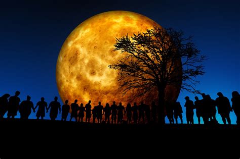 Luna Humano Grupo Imagen Gratis En Pixabay Pixabay