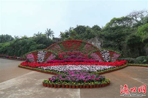 花意盎然迎新春 近10万盆鲜花布景扮靓海口双园（组图） 海口网