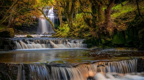 Waterfall Stream Between Green Trees Covered Forest Hd Nature Wallpapers Hd Wallpapers Id 58744