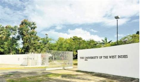 University of the West Indies | Experience Jamaique