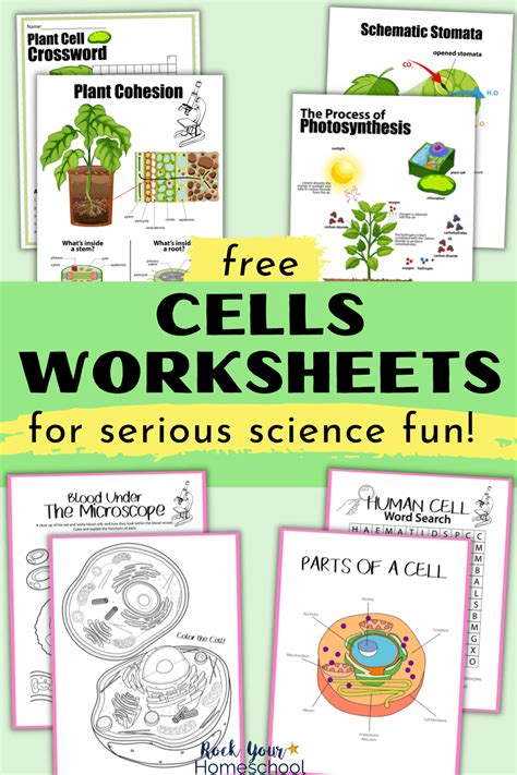 Worksheets Cells