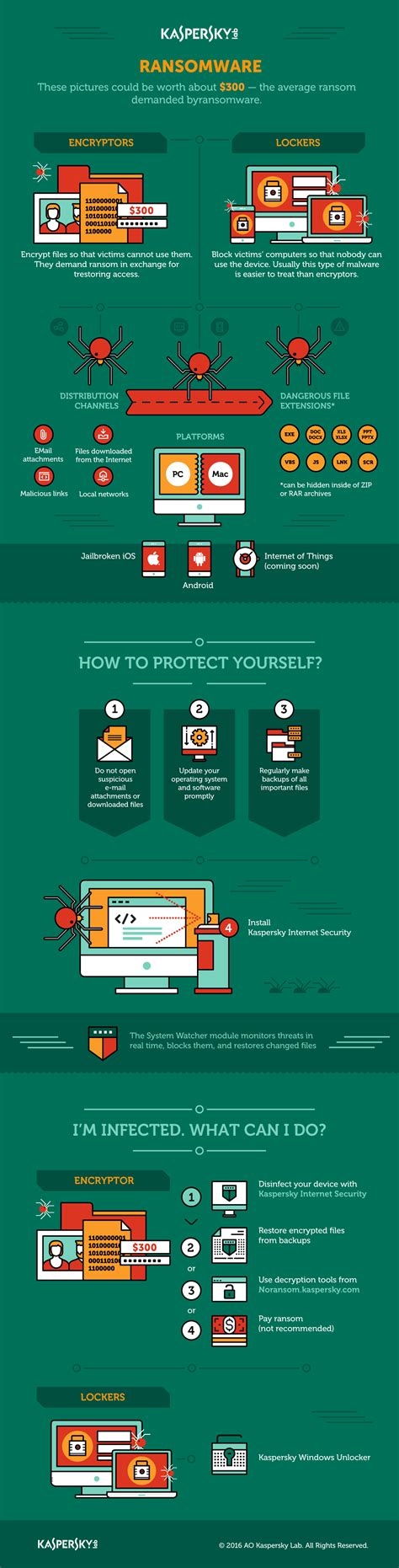 Infographic What You Need To Know About Ransomware Kaspersky