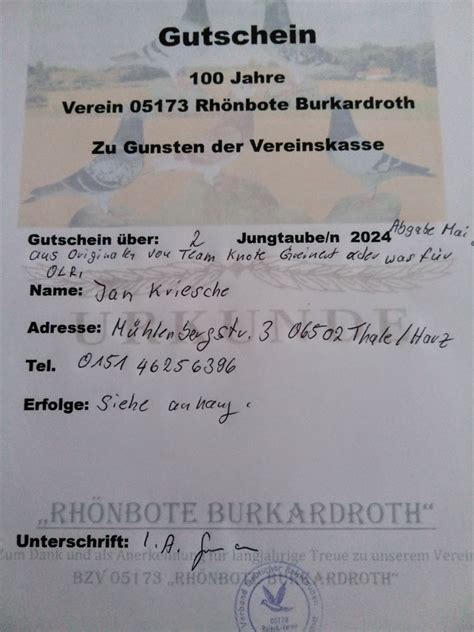 Brieftauben Auktion De Pos 33 Gutschein 2 Jungtauben 2024 Jan