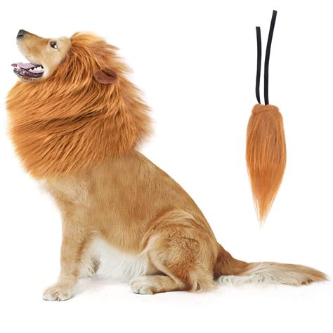 Golden Retriever Lion Costume | ubicaciondepersonas.cdmx.gob.mx