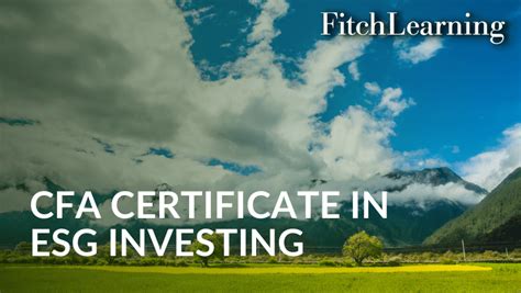 Cfa Institute Certificate In Esg Investing Creditsights