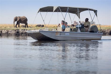 Combina O De Saf Ri De Dias Em Victoria Falls E Chobe Day